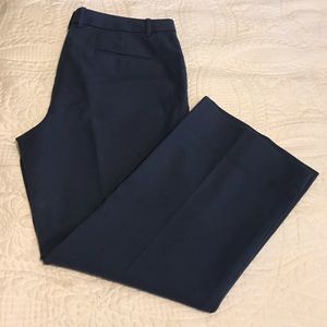 Cropped Devin fit slate blue size 10 pants
